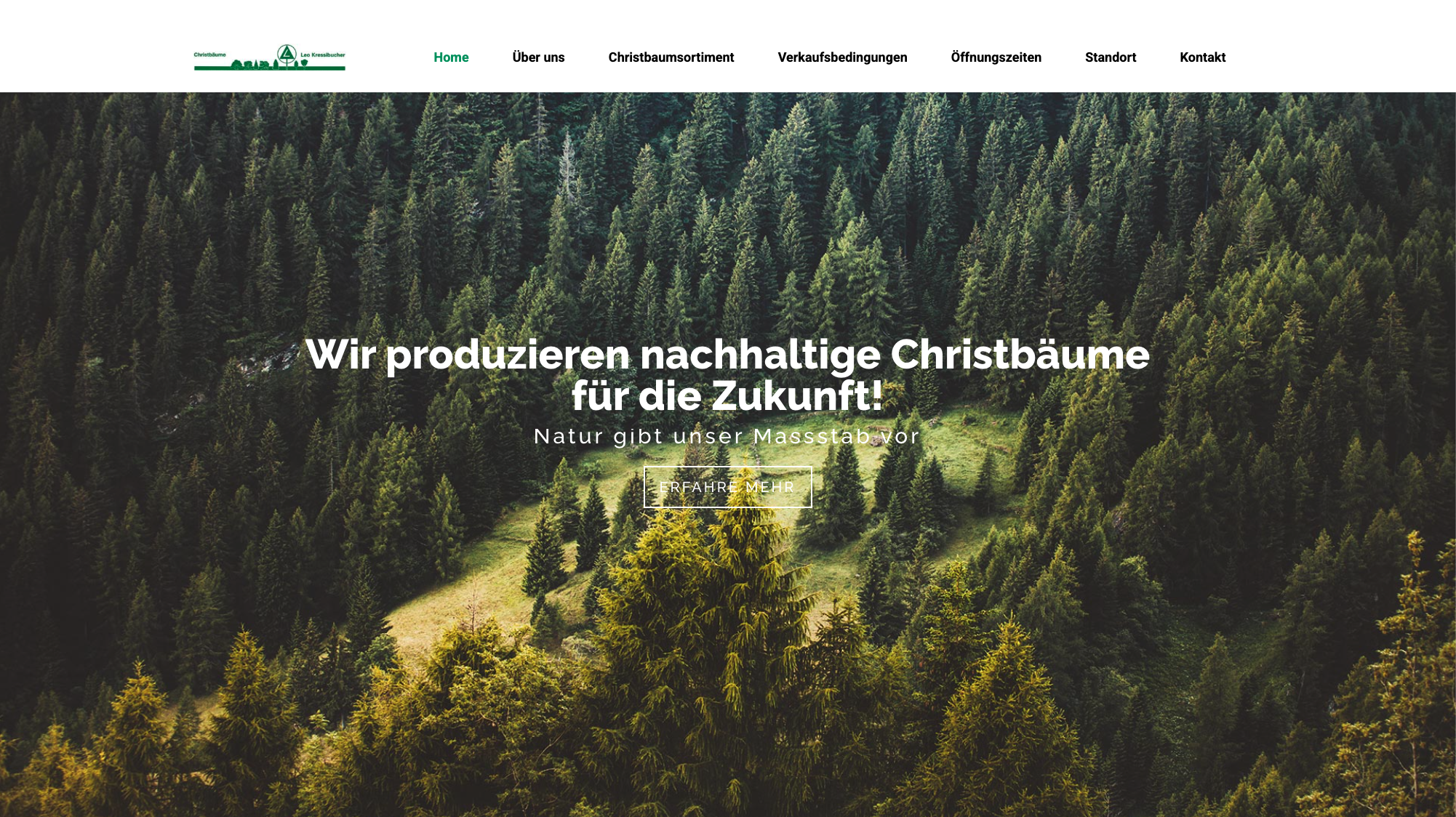 Leo Kressibucher Website Screenshot